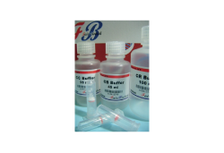 CC Genomic DNA Isolation Kit (Blood/Cell/Bacteria/fungus) (100 rxn)