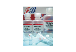 Total RNA Isolation Kit (Tissue) (300 rxn) Total RNA Isolation Kit (Tissue) (300 rxn)