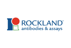 Rockland 抗體/試劑