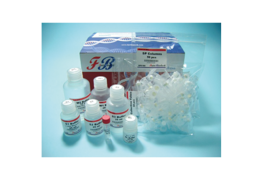 FB Plasmid Miniprep Kit (100 rxn)