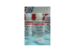 TC Genomic DNA Isolation Kit (Tissue) (300 rxn) TC Genomic DNA Isolation Kit (Tissue) (300 rxn)