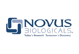 Novus Biologicals 抗體
