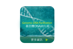Genomic DNA Purification Kit 基因體DNA純化組圖片