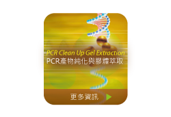PCR Clean Up/Gel Extraction PCR產物純化與膠體萃取組圖片