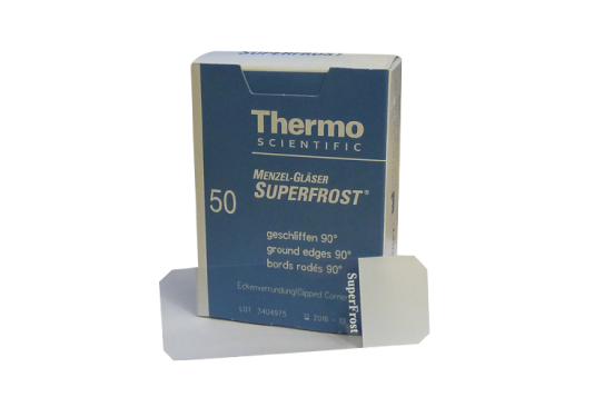 Thermo 耗材圖片